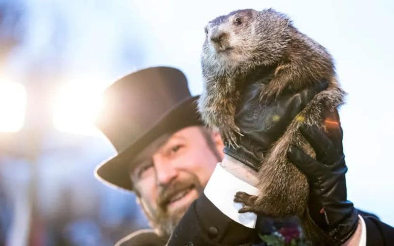 On Groundhogs Day 2024 Punxsuntawney Phil did NOT see his shadow . They say that means  an early spring . We are just hoping for 32 weekends of mild temps and no rain!